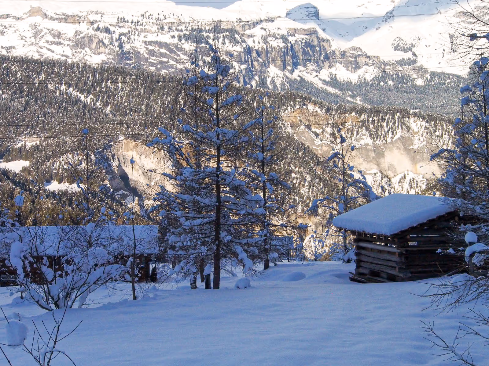 Winterstimmung in der Region Safiental