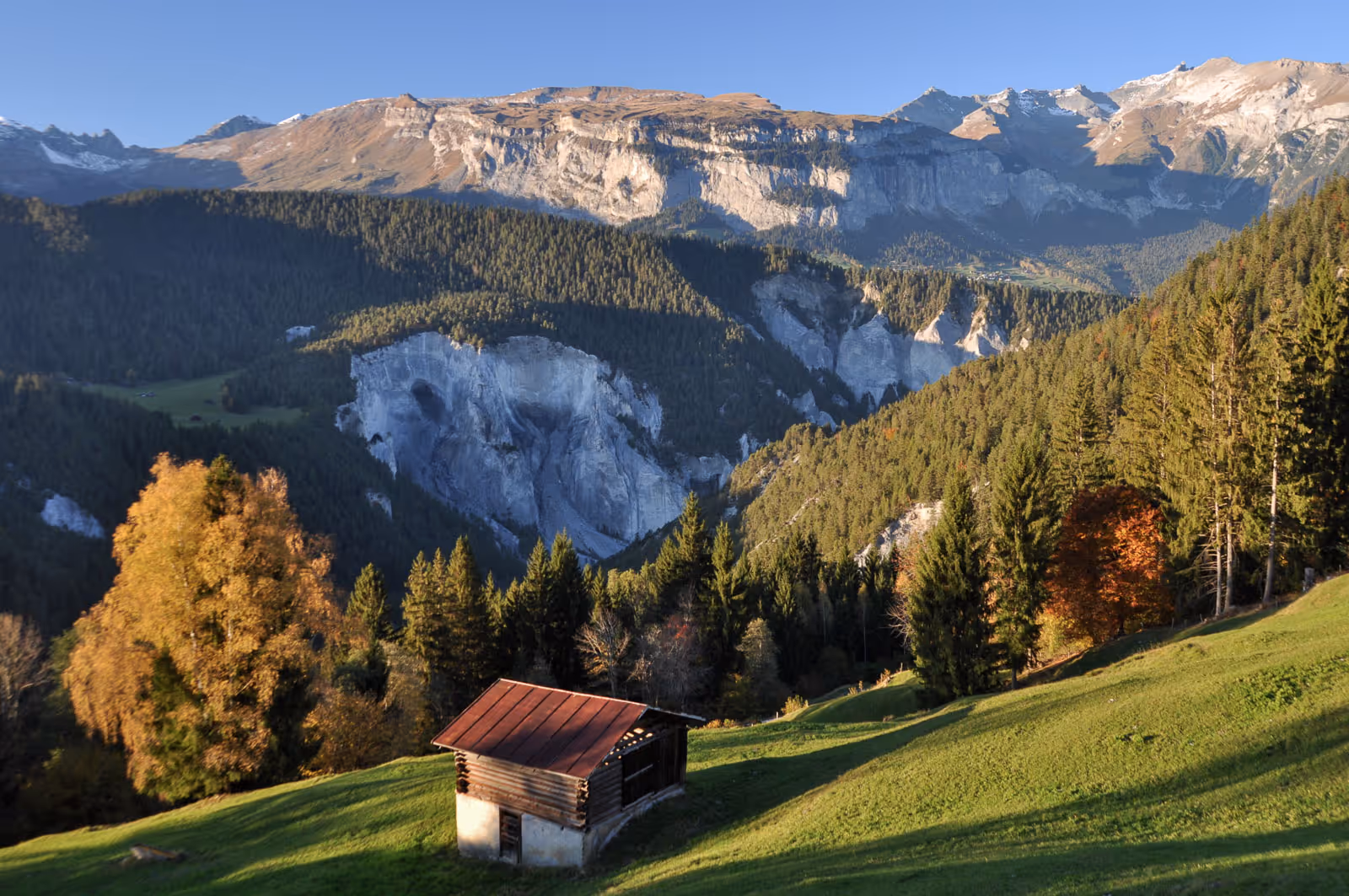 Blick in die Rheinschlucht