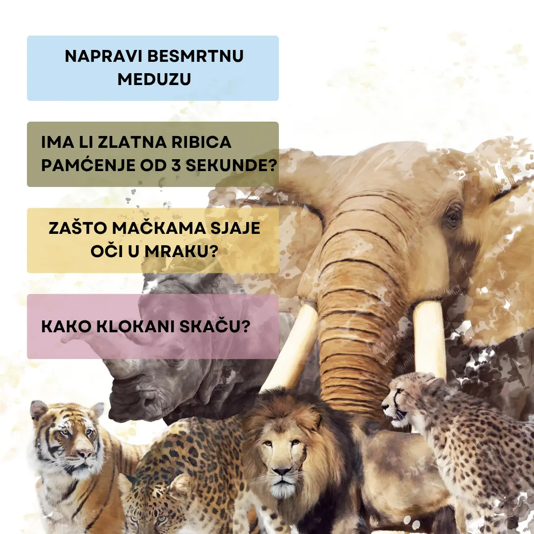 Zanimljivosti o životinjama