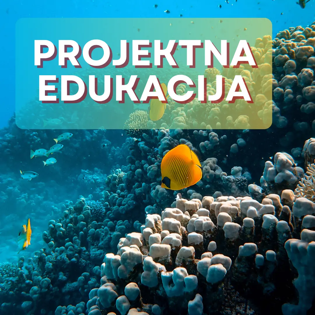 Stem projekti