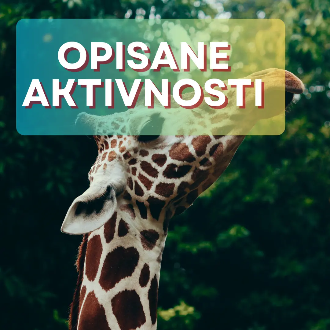STEM aktivnosti