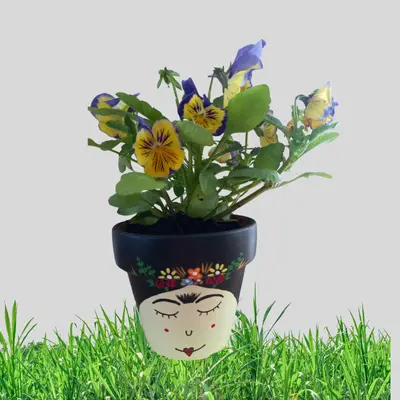 finski obrazovni sustav