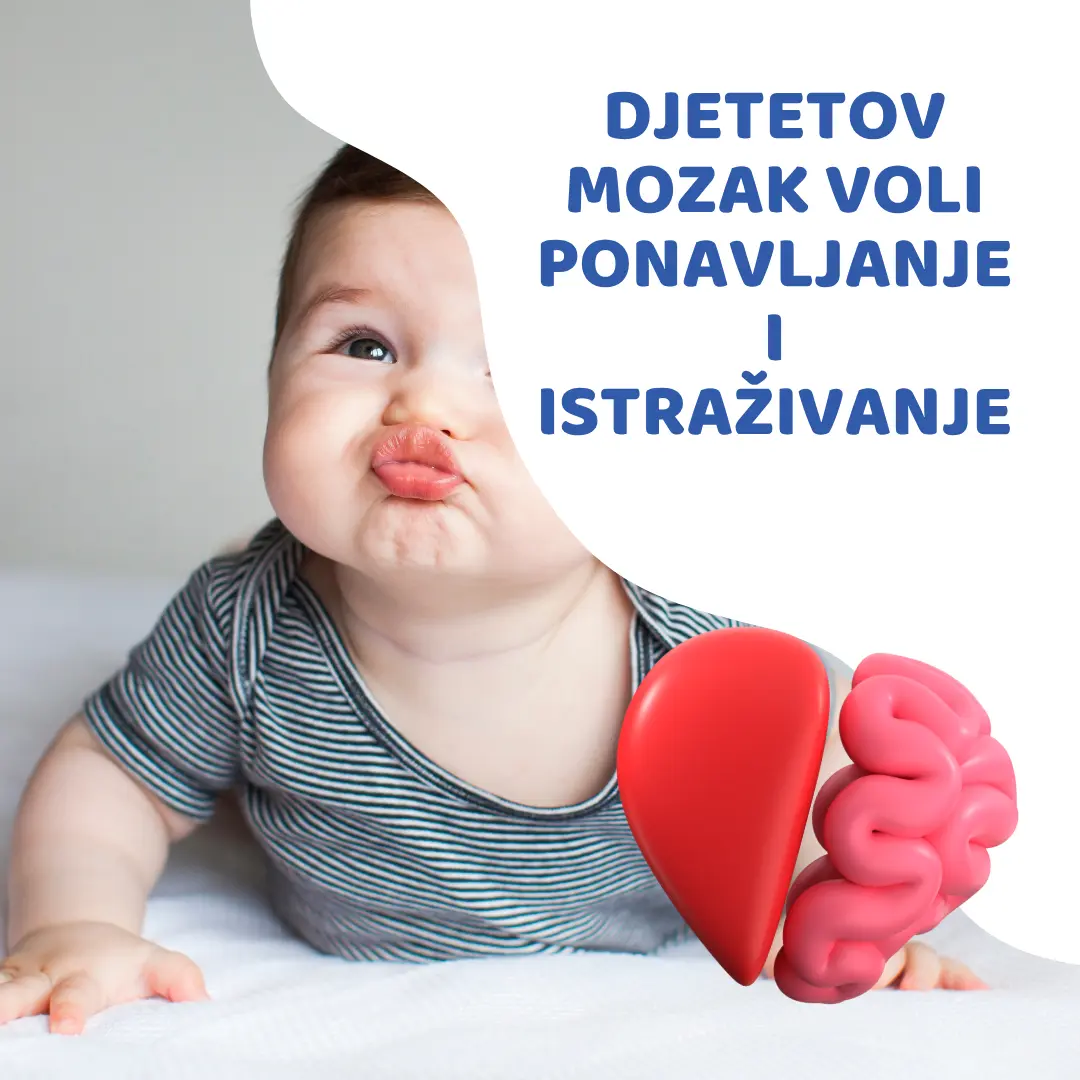 ponavljanje-istrazivanje-razvoj-mozga