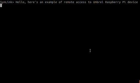 console_server_example