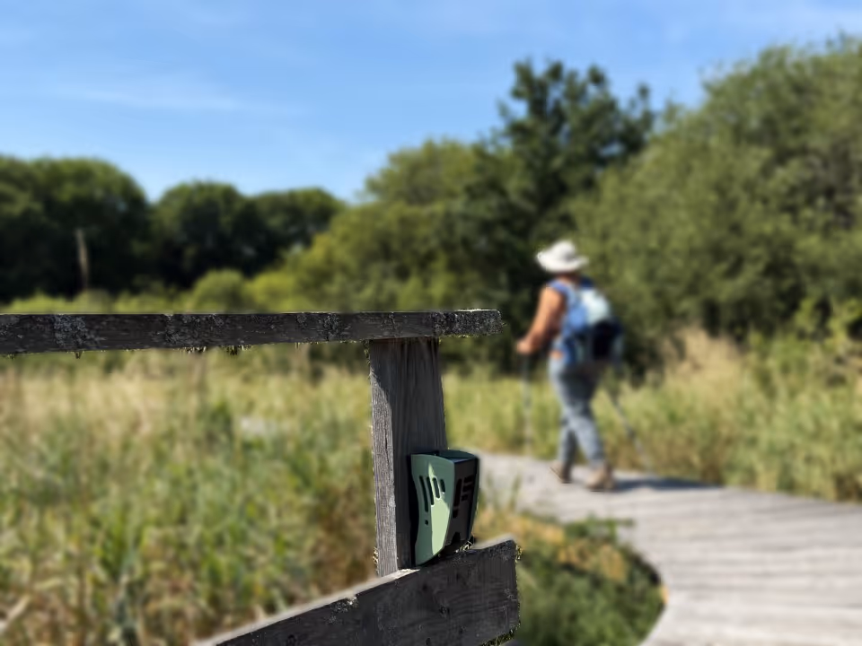 Passage de visiteurs près d’une zone humide protégée