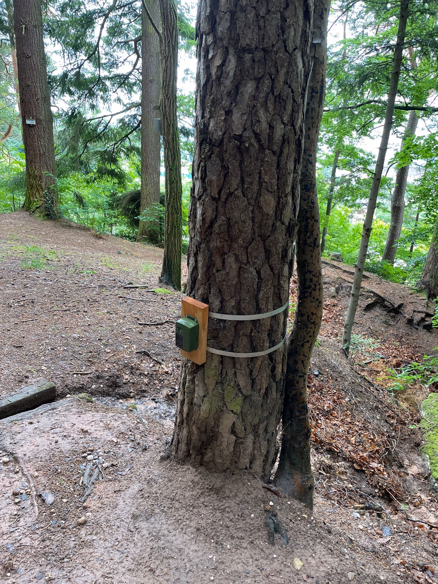 Sortie indiquée par un panneau en bois à côté d'une porte ouverte menant à un grand hall orné avec un sol en marbre décoré et des lustres.