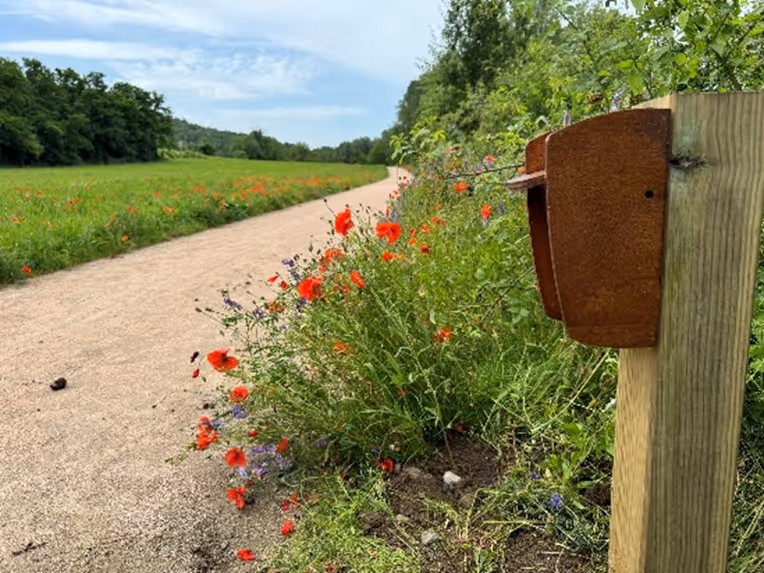 Compteur dans le Puy de Dôme