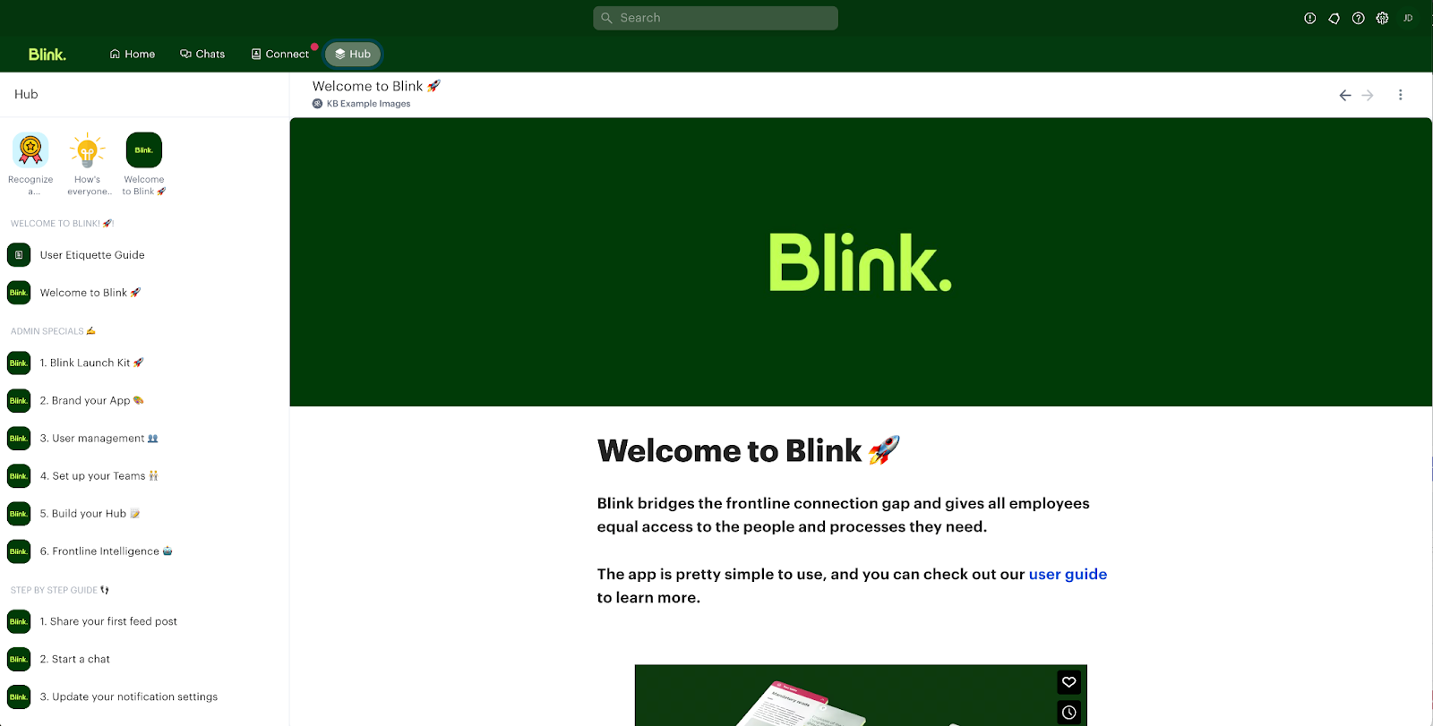 Blink's intranet software