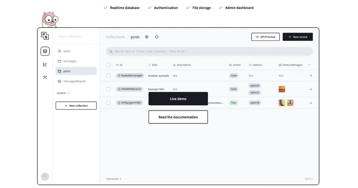 Pocketbase databases overview. 