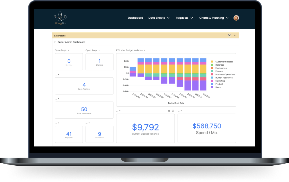 Wingtip feature image