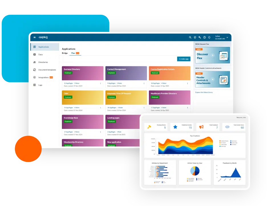 Caspio database application interface.