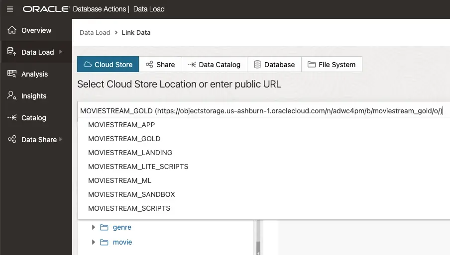 Screenshot of the Oracle user interface