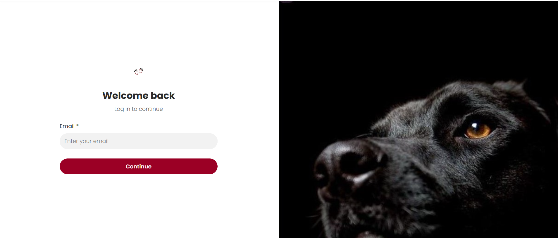 Employee Portal for HR Work  feature image