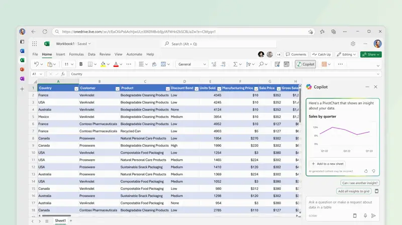Microsoft Excel spreadsheet