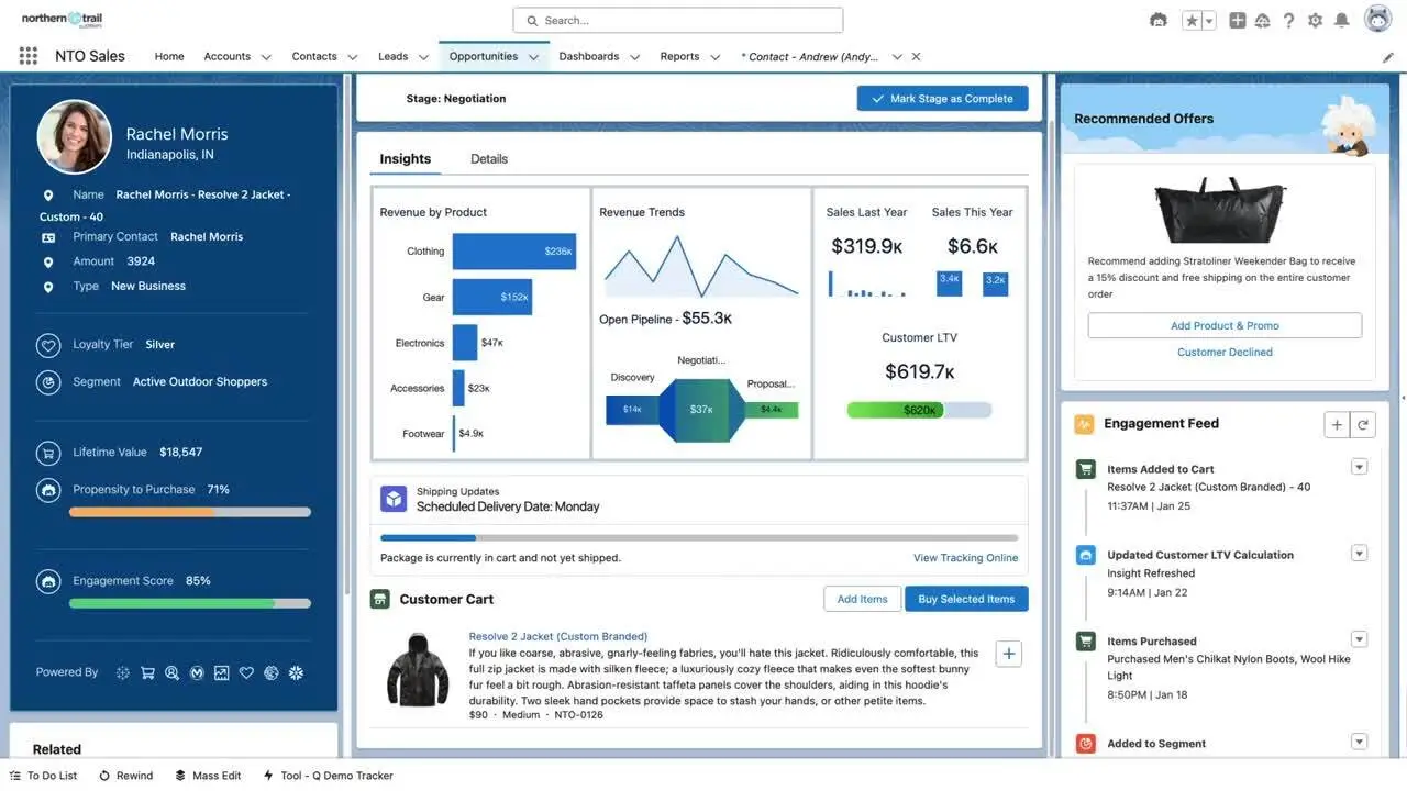 Salesforce interface