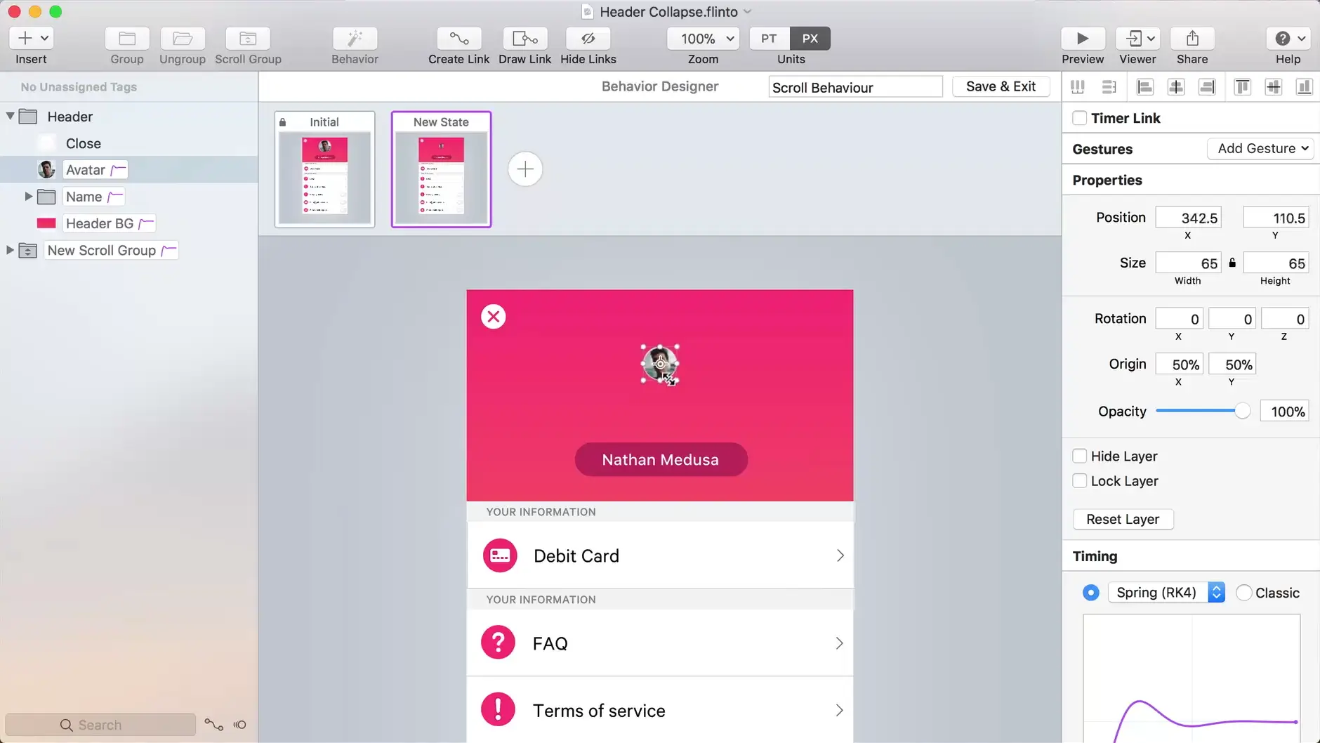 Flinto user interface