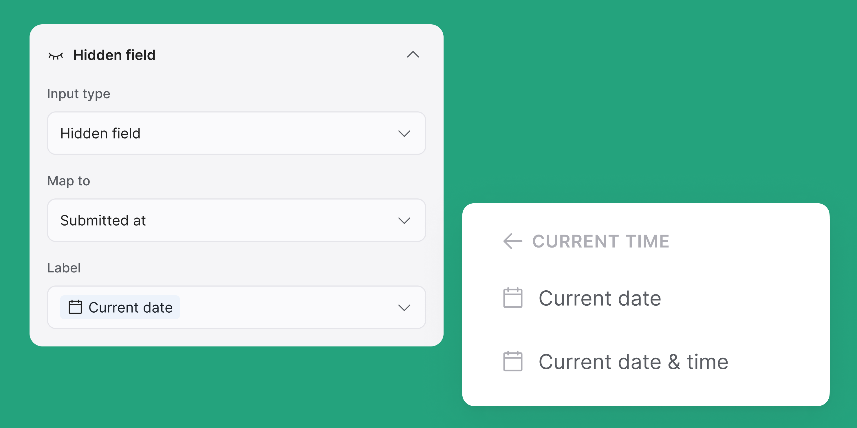 Hidden fields: Current time/date variables
