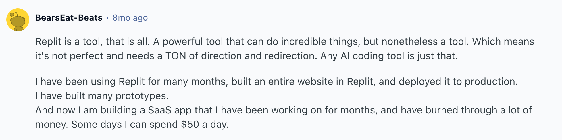 Replit review on Reddit