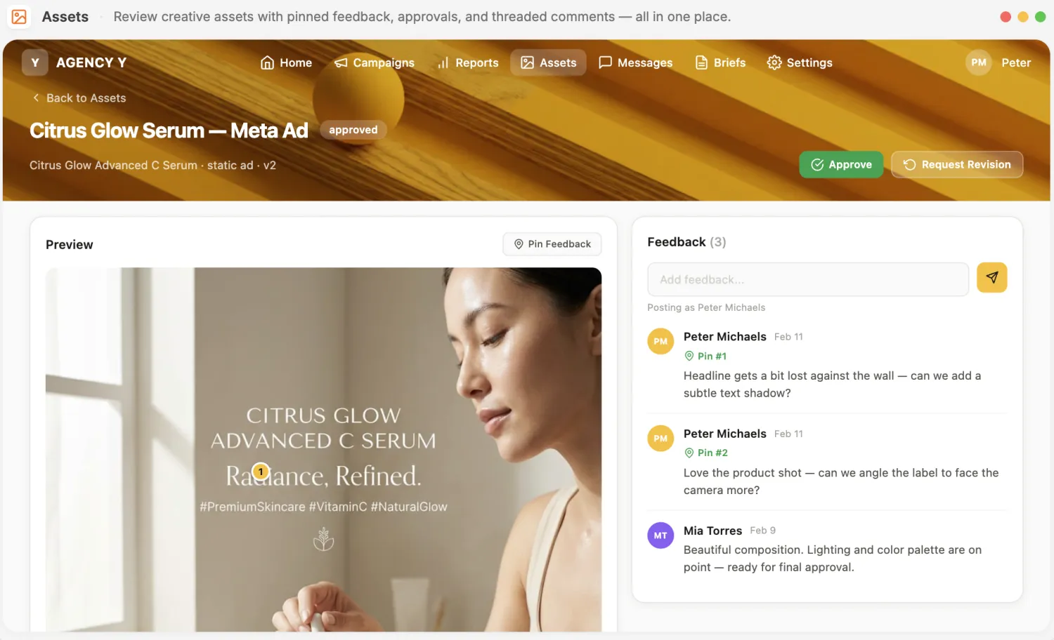 Creative asset review portal showing an approved ad preview alongside a threaded feedback panel with pinned comments