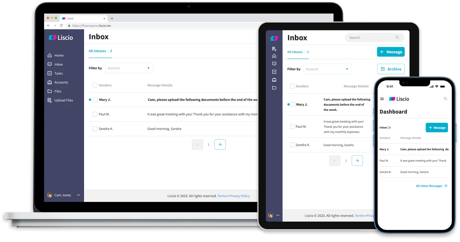 Liscio accounting client portal