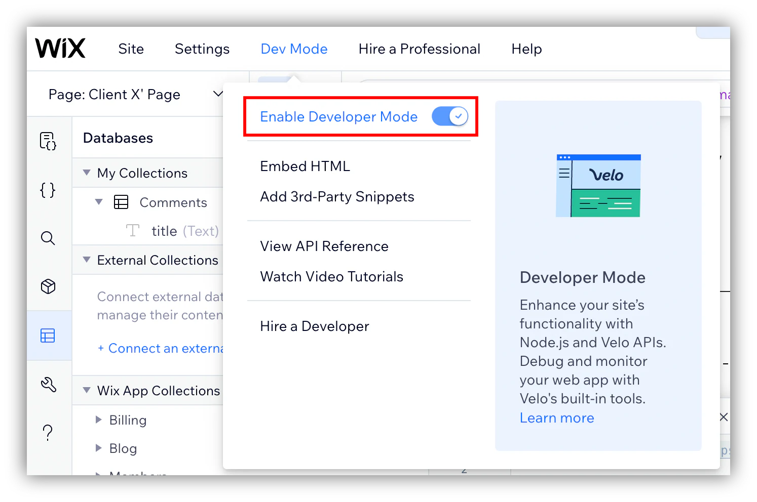 Activate dev mode