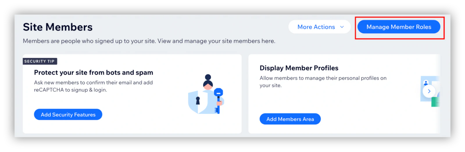 Manage member roles
