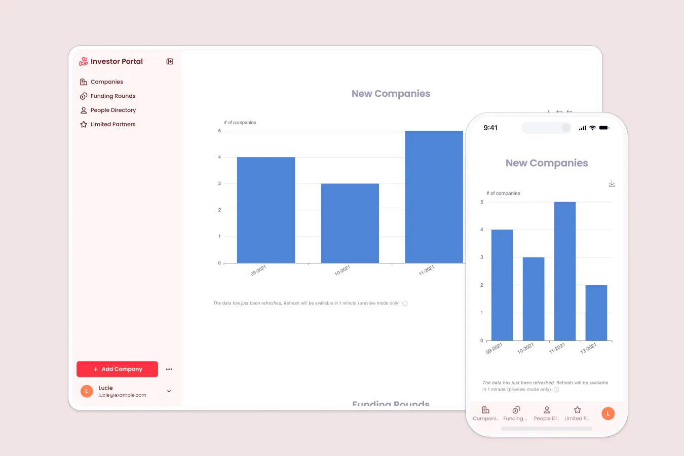Google Sheets Investor Portal template