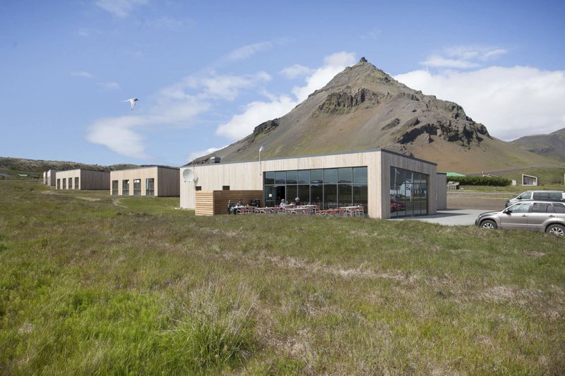 Arnarstapi Hotel with long pale timber-clad wings and a glass-fronted restaurant, a pointed mountain rising behind and an arctic tern flying overhead