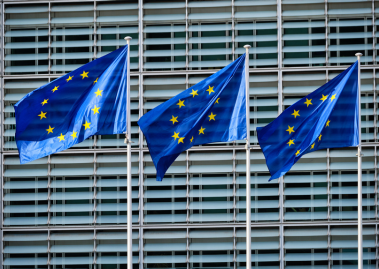 European Union Flags