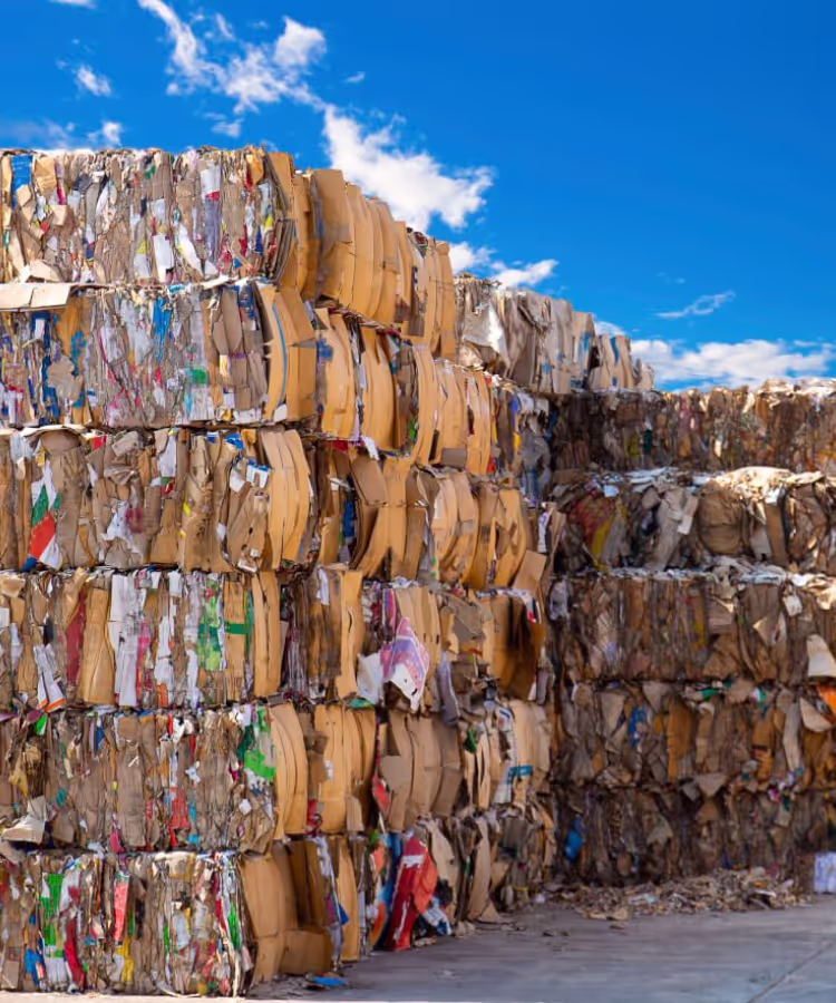 Commercial Recycling