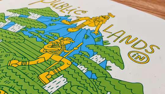 Illustration & Custom Art Direction | Treeswing Studio Services