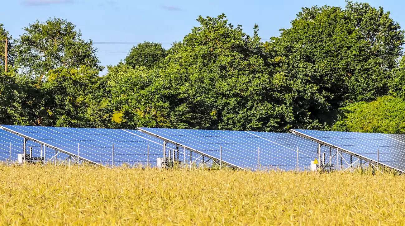 Solar panels installed in a field. 