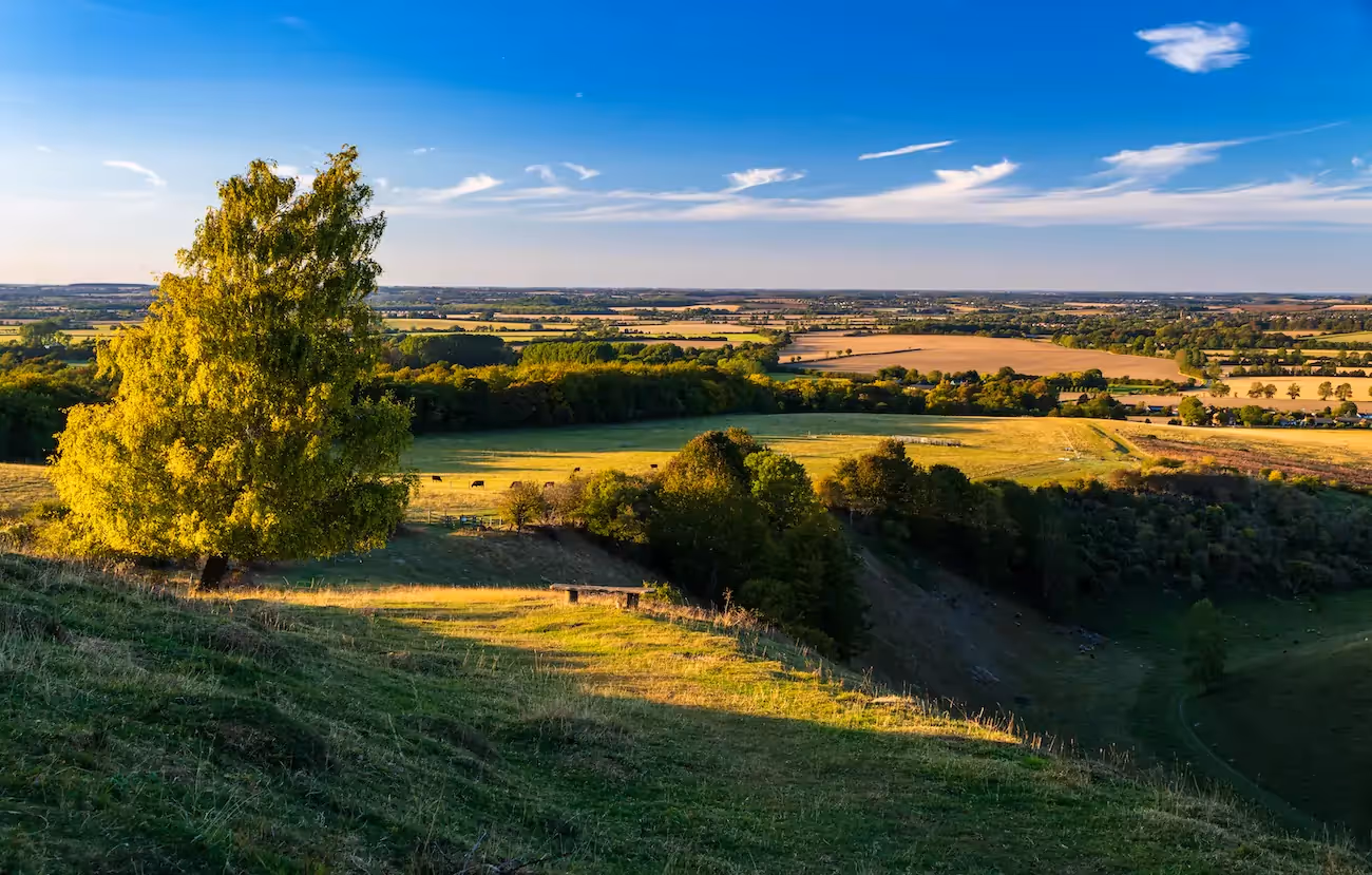 A view of the countryside in Bedforshire