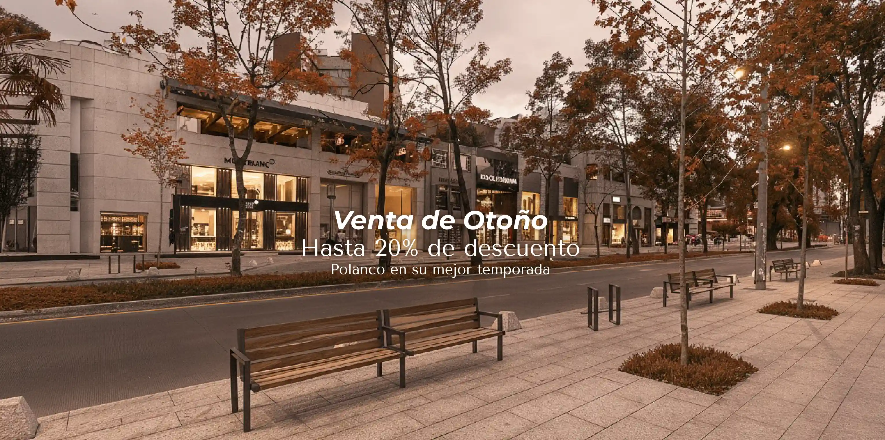 Venta de Otoño - Hasta 20% de descuento