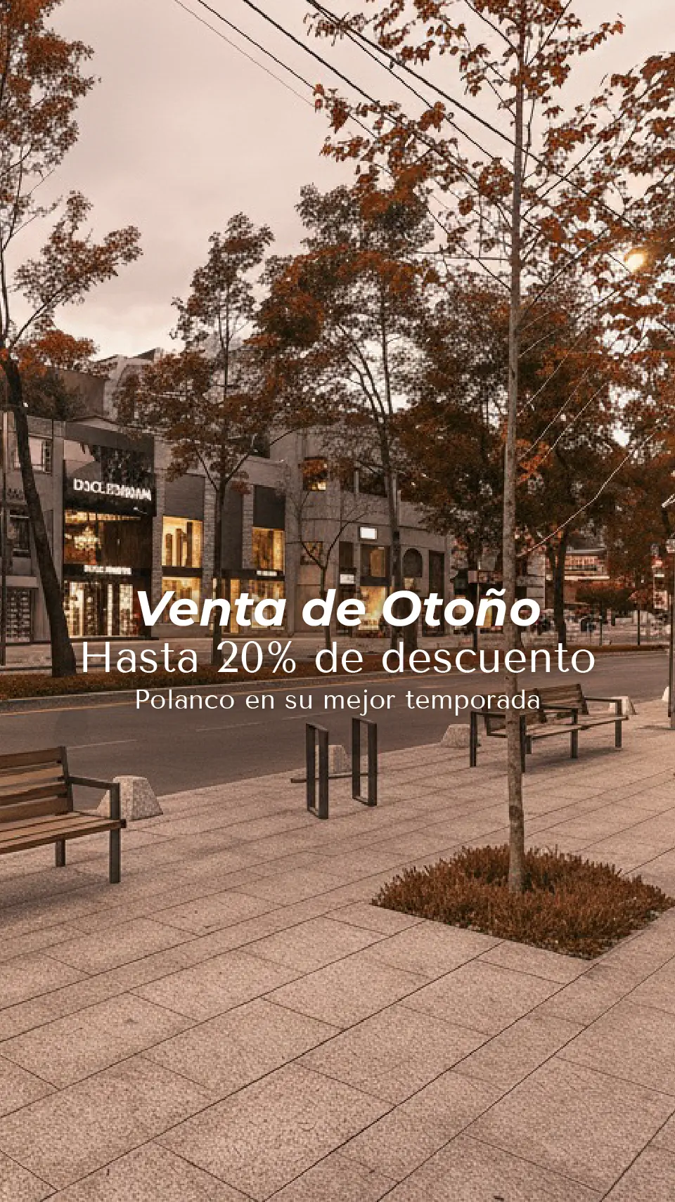 Venta de Otoño - Hasta 20% de descuento