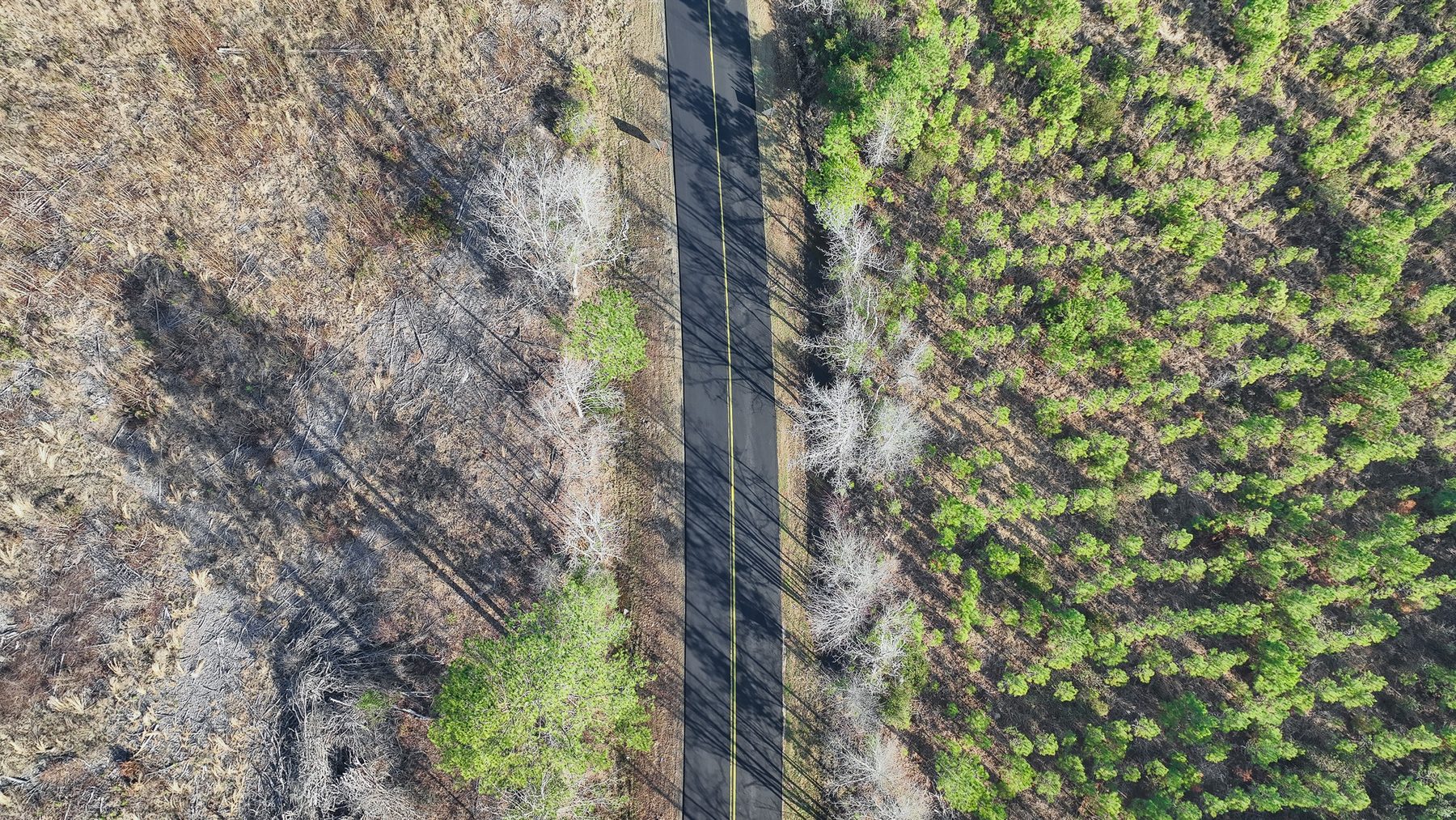 Aerial view of Griffin Ferry Rd with temporary striping during active work.