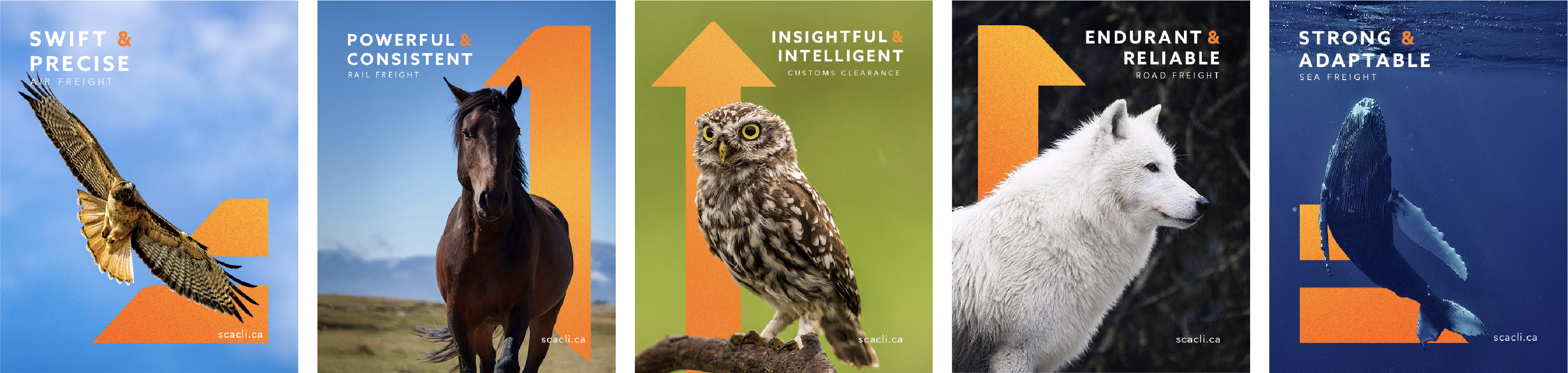 Five social media post that include a falcon, horse, owl, white wolf, and whale.