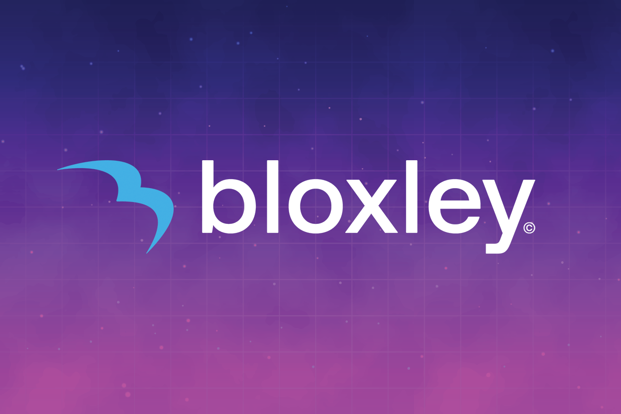 Bloxley Portfolio Slide