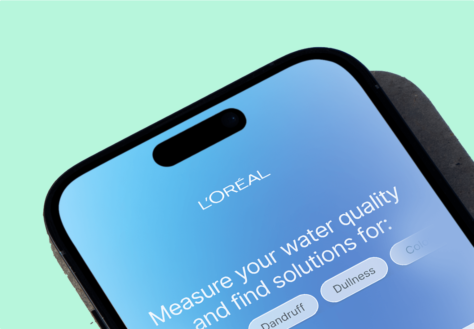 Case studies showcasing Born West projects with L'Oréal
