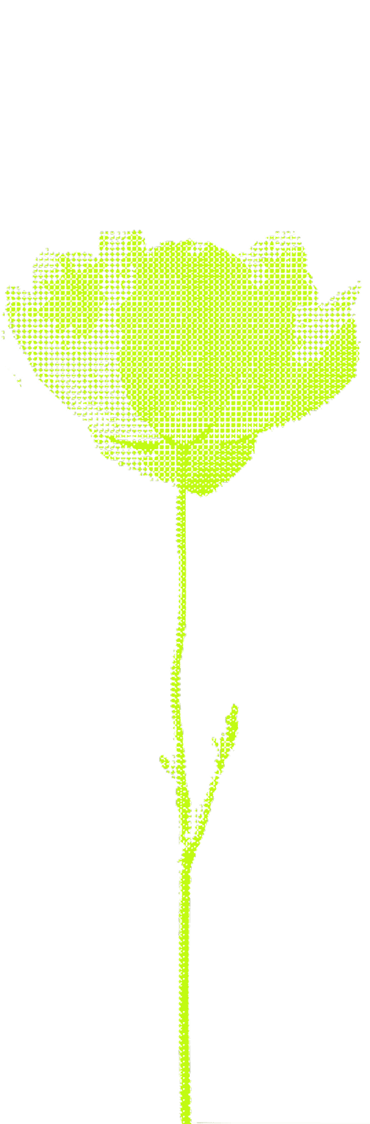Pixelated lime green rose with a long stem on a white background.
