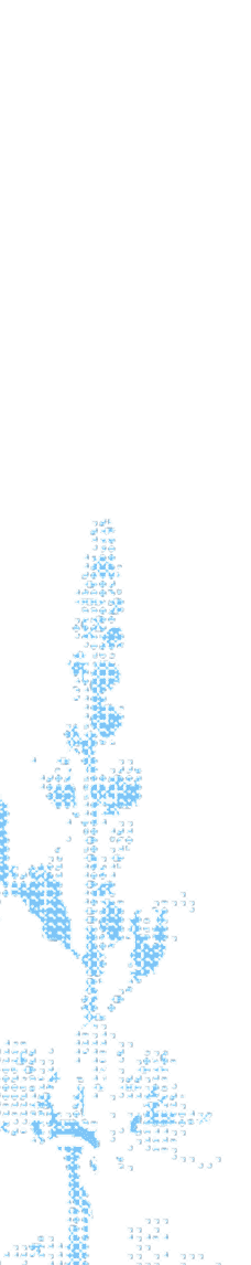 Light blue pixelated silhouette of a tall wildflower plant with slender stem and leaves.