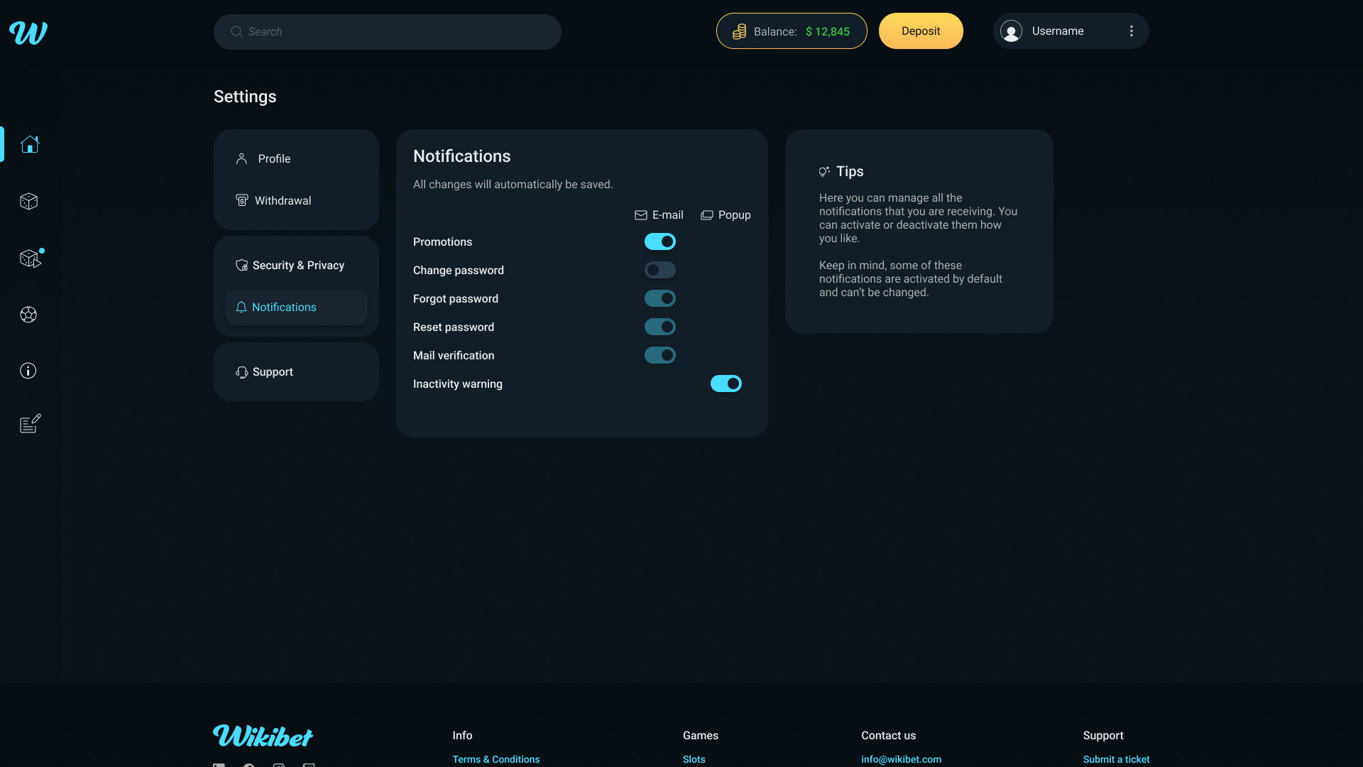 Settings: Notifications section