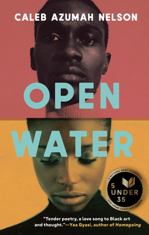 The cover for Open Water by Caleb Nelson