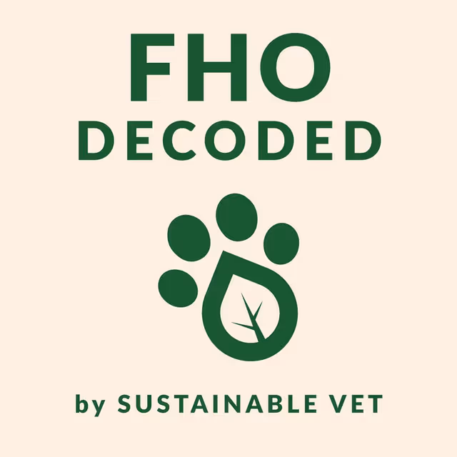 Rewiring the Hip: How FHO Surgery Helps Dogs Walk Again