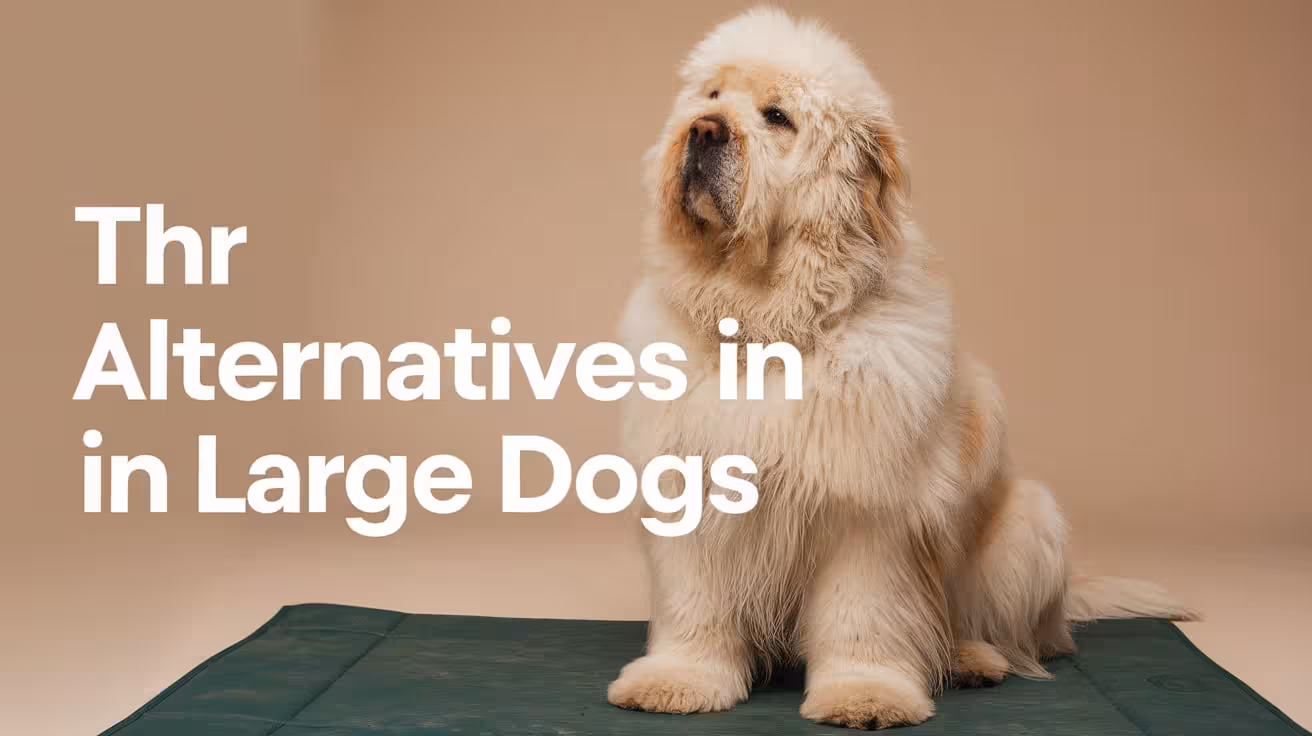 Alternatives to Hip Replacement Surgery in Large Dogs