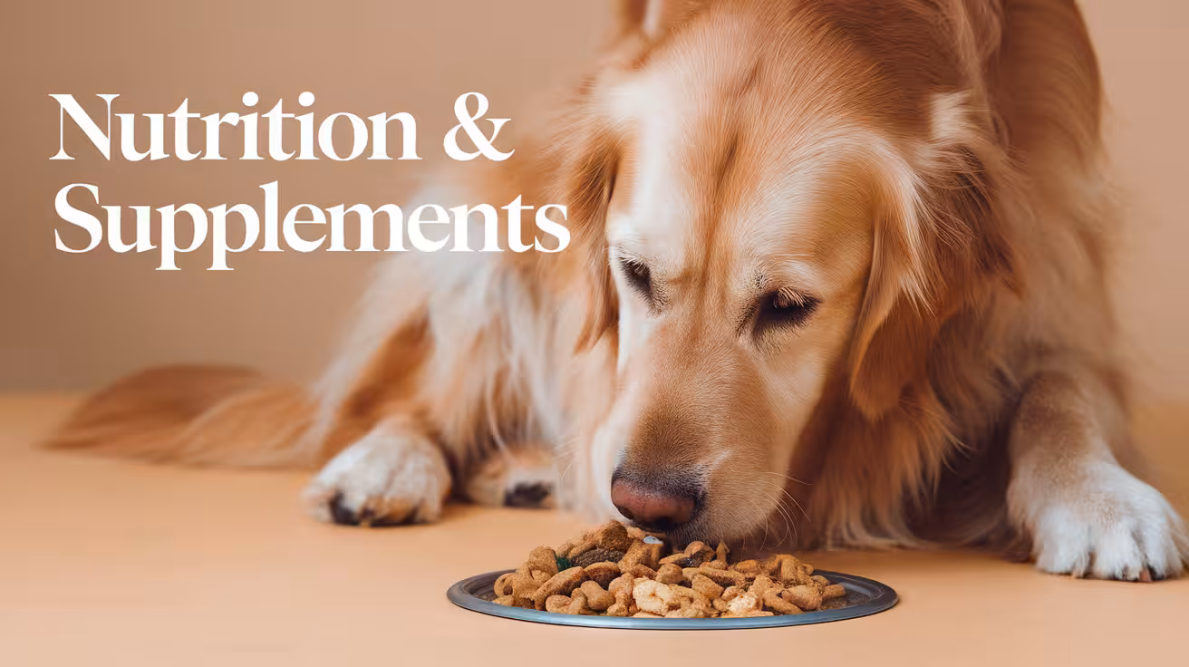 Nutrition & Supplements for Orthopedic Patients: What Works and What Doesn’t