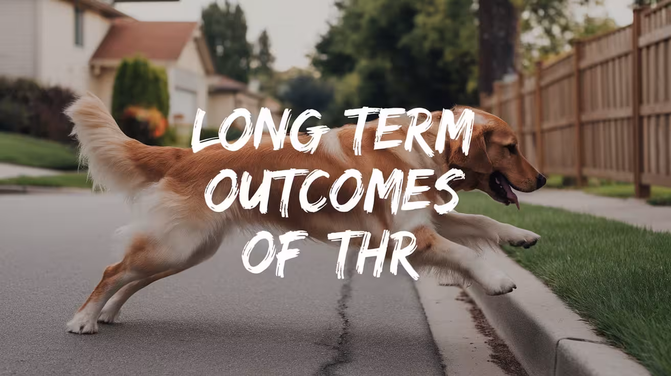 Long-Term Outcomes After Canine Hip Replacement Surgery