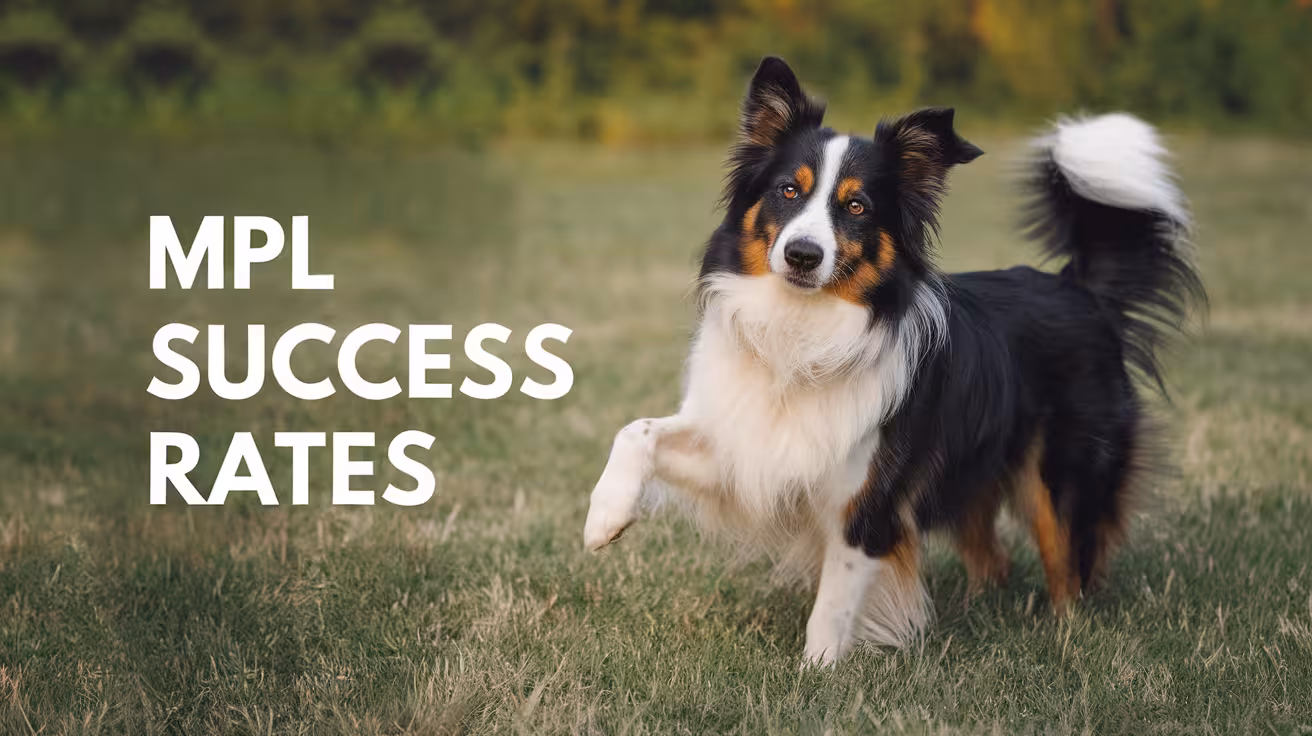 Success Rates for Medial Patellar Luxation Surgery
