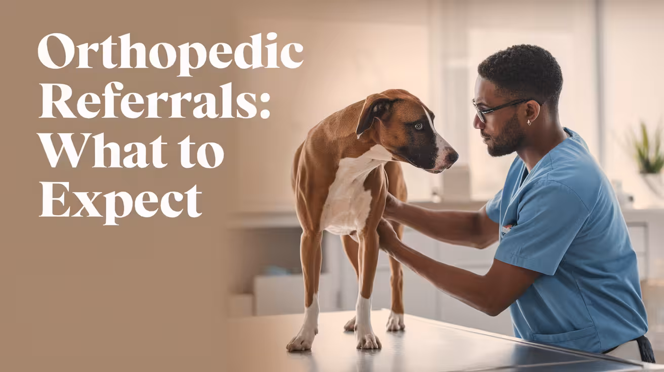 What to Expect When Your Patient Sees an Orthopedic Specialist