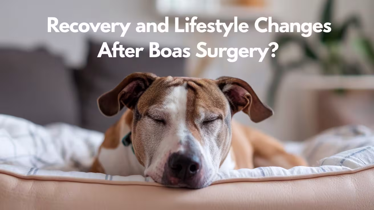 Recovery and Lifestyle Changes After BOAS Surgery